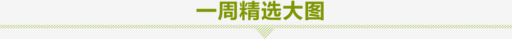 一周精選大圖